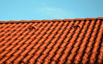 Różnorodność stylów dachówek – jak dopasować je do projektu domu?